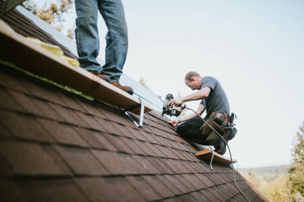 Best Best Roofing Contractors  in Fannett, TX