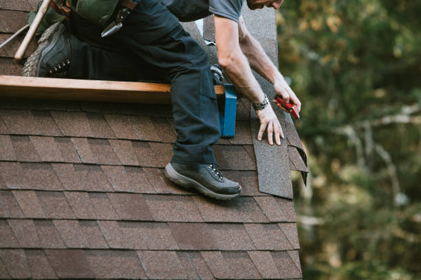 Best Roof Gutter Cleaning  in Fannett, TX